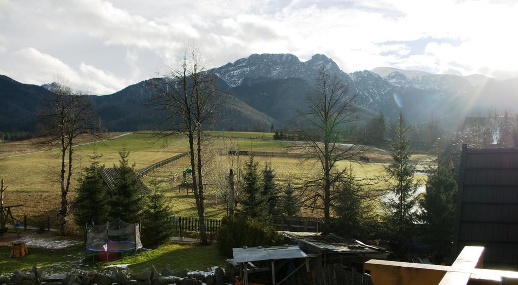 Willa Jafer - Zakopane Centrum 外观 照片